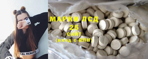 ПСИЛОЦИБИНОВЫЕ ГРИБЫ Вяземский