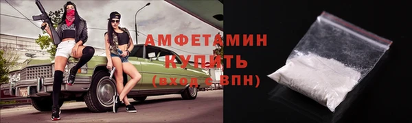 ПСИЛОЦИБИНОВЫЕ ГРИБЫ Вяземский