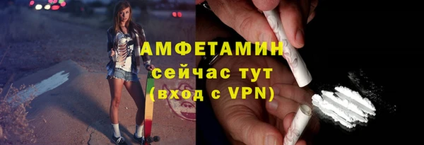 ПСИЛОЦИБИНОВЫЕ ГРИБЫ Вяземский