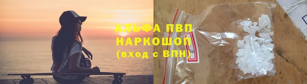 ПСИЛОЦИБИНОВЫЕ ГРИБЫ Вяземский