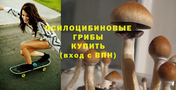 МДПВ Вязьма